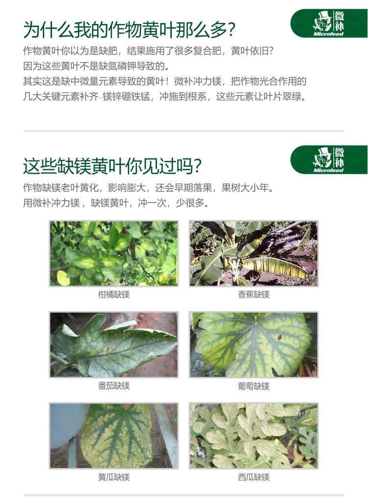 微補(bǔ)沖力鎂_02.jpg 微補(bǔ)沖力鎂_02.jpg