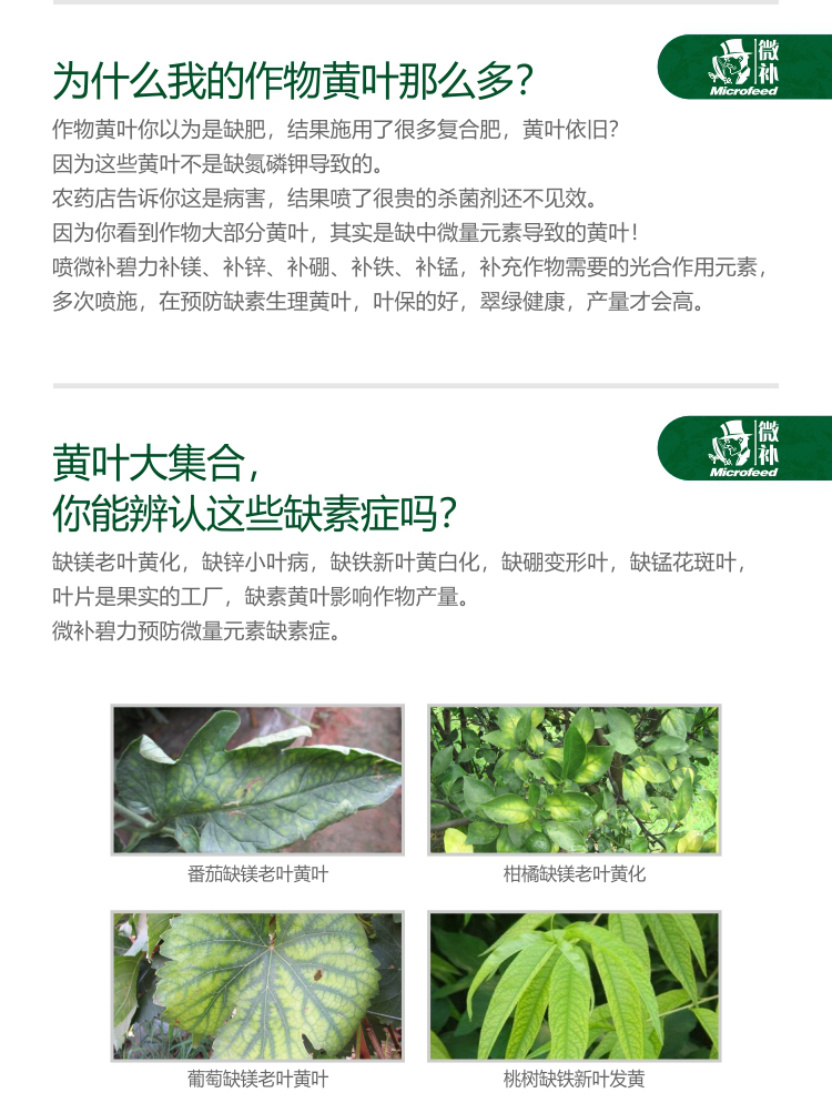 微補碧力【】_02.jpg 微補碧力【】_02.jpg