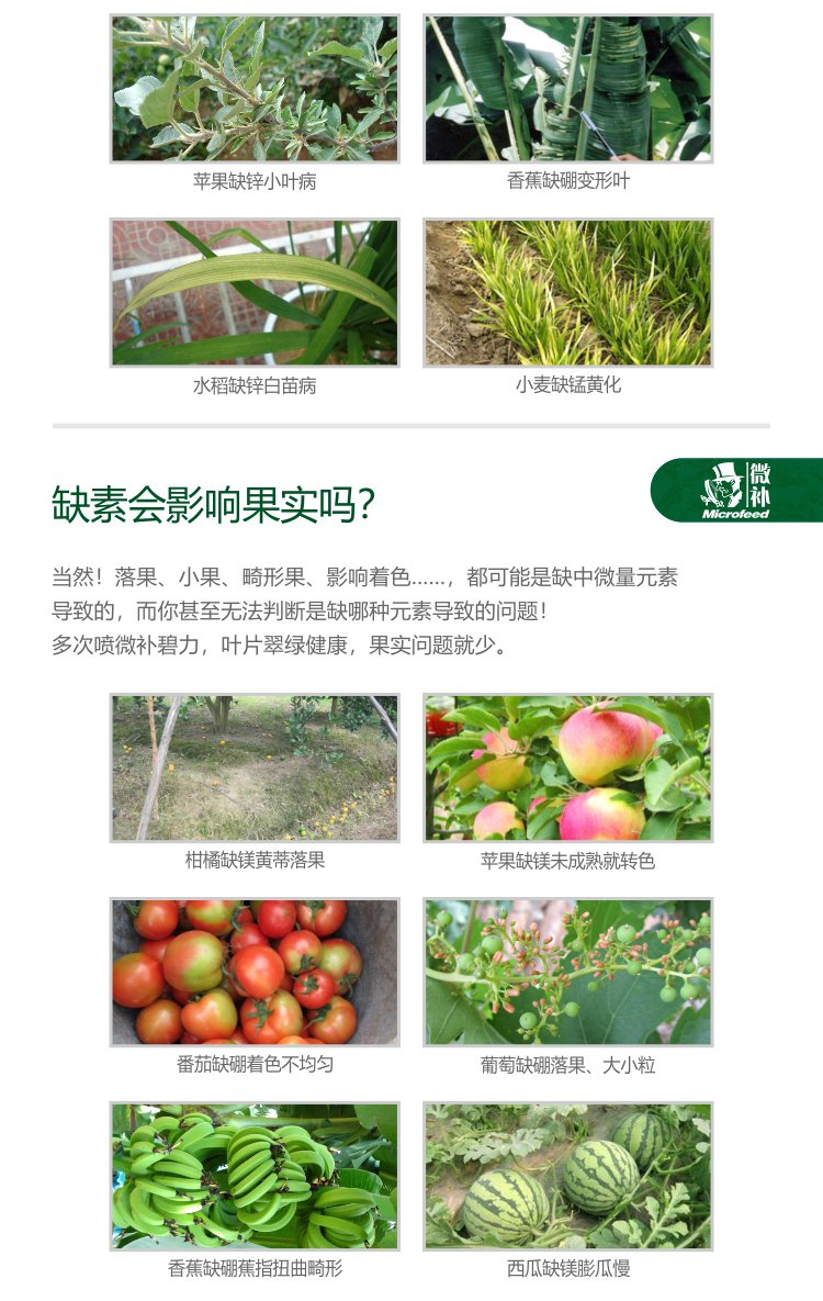 微補碧力【】_03.jpg 微補碧力【】_03.jpg