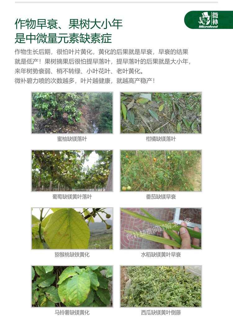 微補碧力【】_04.jpg 微補碧力【】_04.jpg