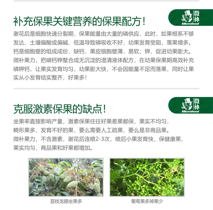 微補(bǔ)果力_02.jpg